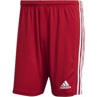 adidas Squadra 21 Fußball Shorts team power red/white M von adidas performance