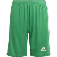 adidas Squadra 21 Shorts Kinder team green/white 116 von adidas performance