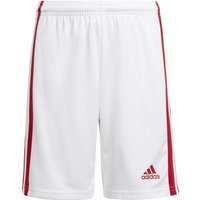 adidas Squadra 21 Shorts Kinder white/team power red 176 von adidas performance