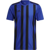 adidas Striped 21 Trikot GV1380 - team royal blue/black XXL von adidas performance