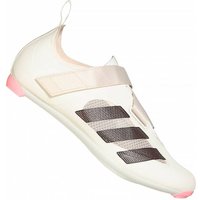 adidas The Indoor-Cycling Fahrradschuhe GX1669 adidas The Indoor-Cycling Fahrradschuhe GX1669 von Adidas
