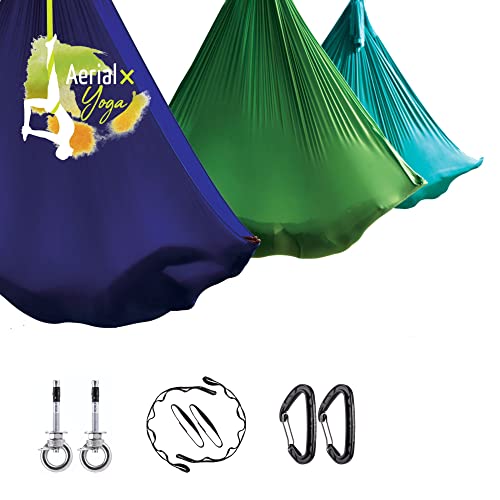AerialX Aerial Yogatuch - Yoga Basis Set Silber | GS geprüfte Yoga Hängematte inkl. Deckenanker für Yoga, Pilates und Gymnastik | Germany AerialX Aerial Yogatuch - Yoga Basis Set Silber | GS geprüfte Yoga Hängematte inkl. Deckenanker für Yoga, Pilates und Gymnastik | Germany von AerialX