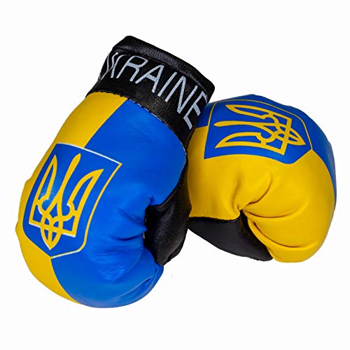 Aimee Mini Boxhandschuhe Ukraine von Aimee