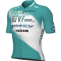 VF GROUP-BARDIANI CSF-FAIZANÈ 2024 Kurzarmtrikot, für Herren, Größe 2XL, VF GROUP-BARDIANI CSF-FAIZANÈ 2024 Kurzarmtrikot, für Herren, Größe 2XL, von Alé