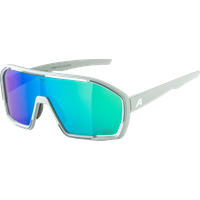 ALPINA BONFIRE Q-LITE Sportbrille ALPINA BONFIRE Q-LITE Sportbrille von Alpina