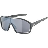 ALPINA BONFIRE Sportbrille ALPINA BONFIRE Sportbrille von Alpina