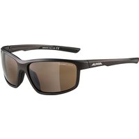 ALPINA DEFEY Sportbrille von Alpina