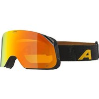ALPINA Herren Brille BLACKCOMB Q-LITE ALPINA Herren Brille BLACKCOMB Q-LITE von Alpina