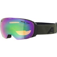 ALPINA Skibrille Granby HM von Alpina