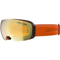 ALPINA Skibrille "Granby HM" ALPINA Skibrille "Granby HM" von Alpina
