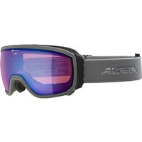 ALPINA Skibrille Scarabeo MM von Alpina