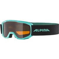 ALPINA Skibrille von Alpina