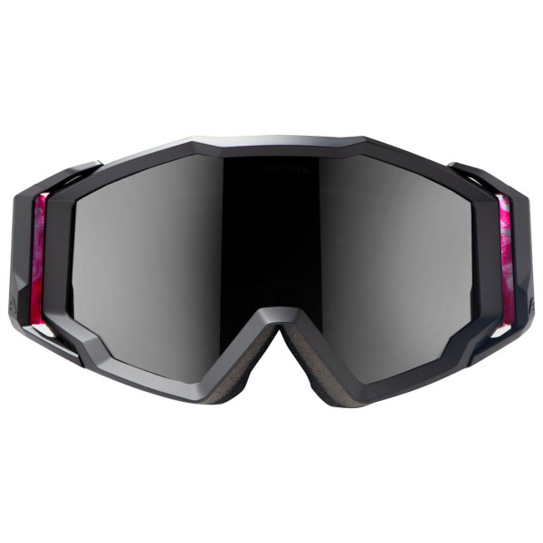 Alpina - Circus - Goggles grau Alpina - Circus - Goggles grau von Alpina