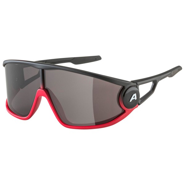 Alpina - Legend Cat. 3 - Sonnenbrille grau Alpina - Legend Cat. 3 - Sonnenbrille grau von Alpina
