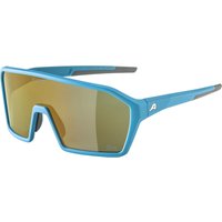 Alpina RAM Q-Lite Sportbrille Alpina RAM Q-Lite Sportbrille von Alpina