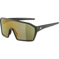 Alpina RAM Q-Lite Sportbrille Alpina RAM Q-Lite Sportbrille von Alpina