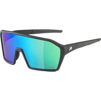 Alpina RAM Q-Lite Sportbrille Alpina RAM Q-Lite Sportbrille von Alpina
