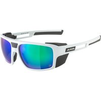 Alpina Skywalsh Gletscherbrille von Alpina