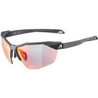 Alpina Twist Six HR QV 1-3 Sportbrille Alpina Twist Six HR QV 1-3 Sportbrille von Alpina