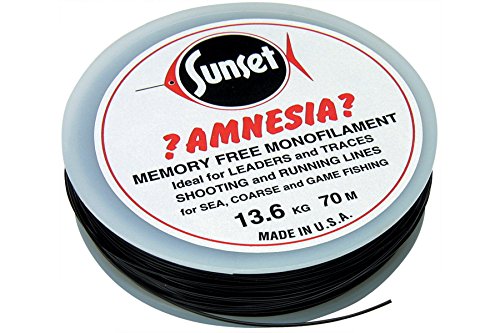 Amnesia Schwarz 50 m Memory-Free Mono von Flashmer
