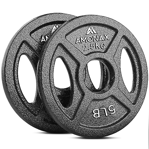 Amonax Hantelscheiben Gusseisen Set, 2,5kg, 5kg, 10kg Hantel Set für 25mm & 50mm Olympia Gewichte Hantel Bar, Metall Hantelscheiben für Gewichtheben und Hip Thrust, Hantelscheiben für Das Home Gym von Amonax