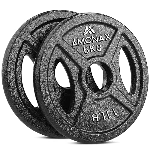 Amonax Hantelscheiben Gusseisen Set, 2,5kg, 5kg, 10kg Hantel Set für 25mm & 50mm Olympia Gewichte Hantel Bar, Metall Hantelscheiben für Gewichtheben und Hip Thrust, Hantelscheiben für Das Home Gym von Amonax