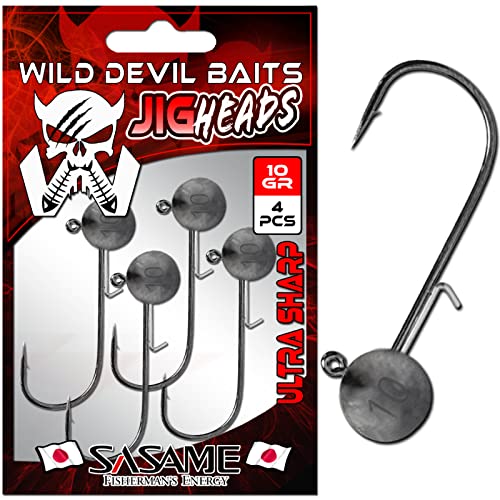 Wild Devil Baits Baitholder Japan Jig Head 4 Stück Jighaken Jigkopf Jigheads (2/0, 20g) von Angel-Berger