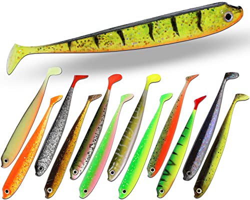 Angel-Berger Wild Devil Baits King Fin Shad Gummifisch Softbait Gummiköder Kunstköder Softlure Zander Hecht Barsch (10cm, Rainbow Trout) von Angel-Berger