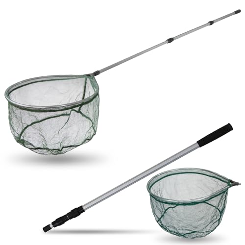 Angel Domäne Kescher Set - Aluminium Kescherstab & Kescherkopf Roach für sicheres Landen von Fischen Angel Domäne Kescher Set - Aluminium Kescherstab & Kescherkopf Roach für sicheres Landen von Fischen von Angel Domäne