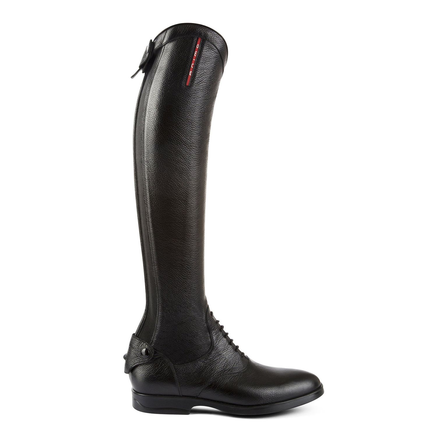 Animo Zodiak Reitstiefel Animo Zodiak Reitstiefel von Animo