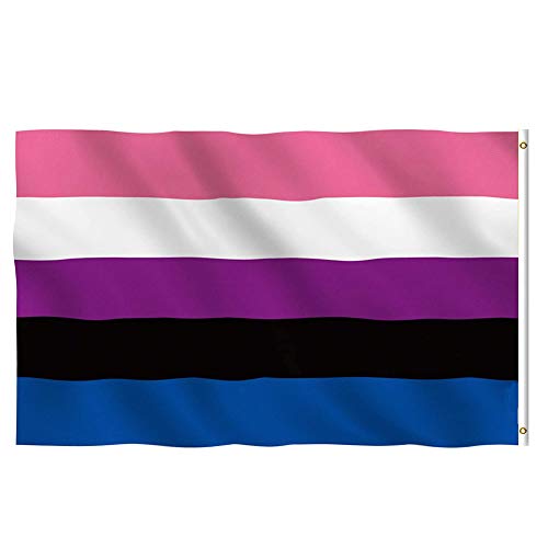 Apofly 1PC Flagge Lesben Homosexuell Parade Regenbogen Genderfluid Polyester Flagge 90x150cm Stolz Flaggen von Apofly