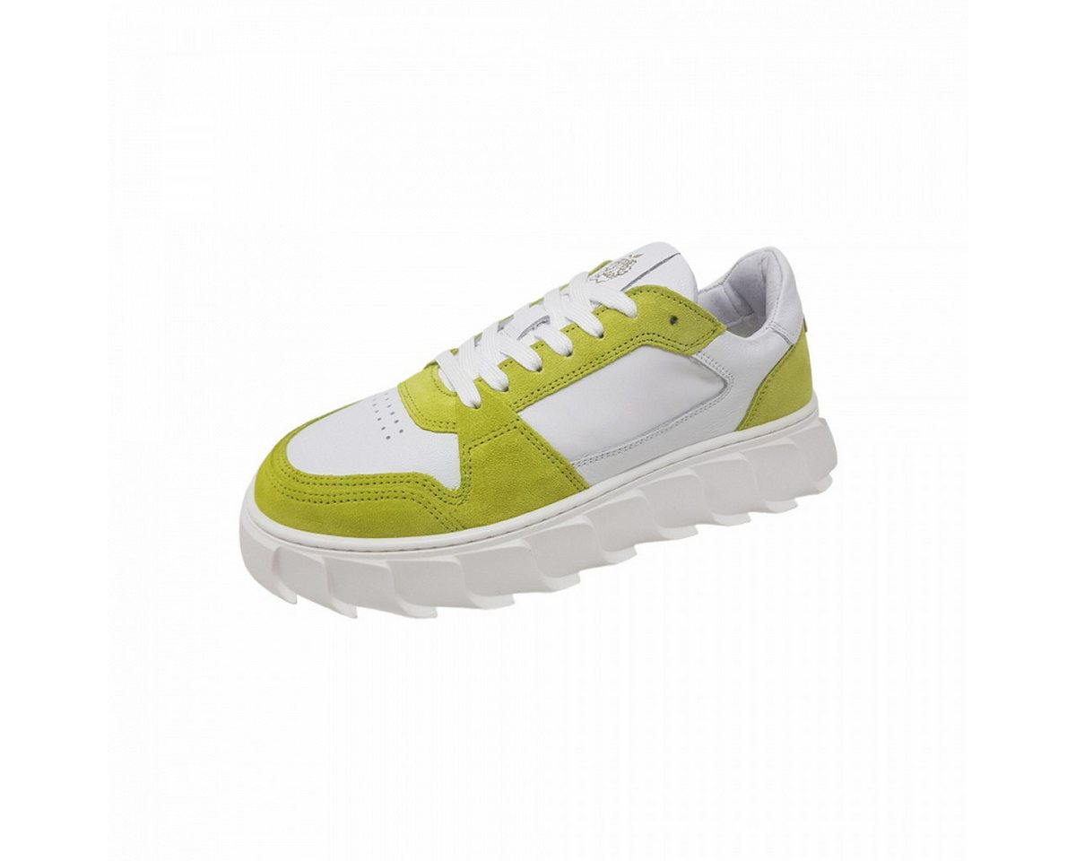 Apple of Eden Sneaker Apple of Eden Sneaker von Apple of Eden