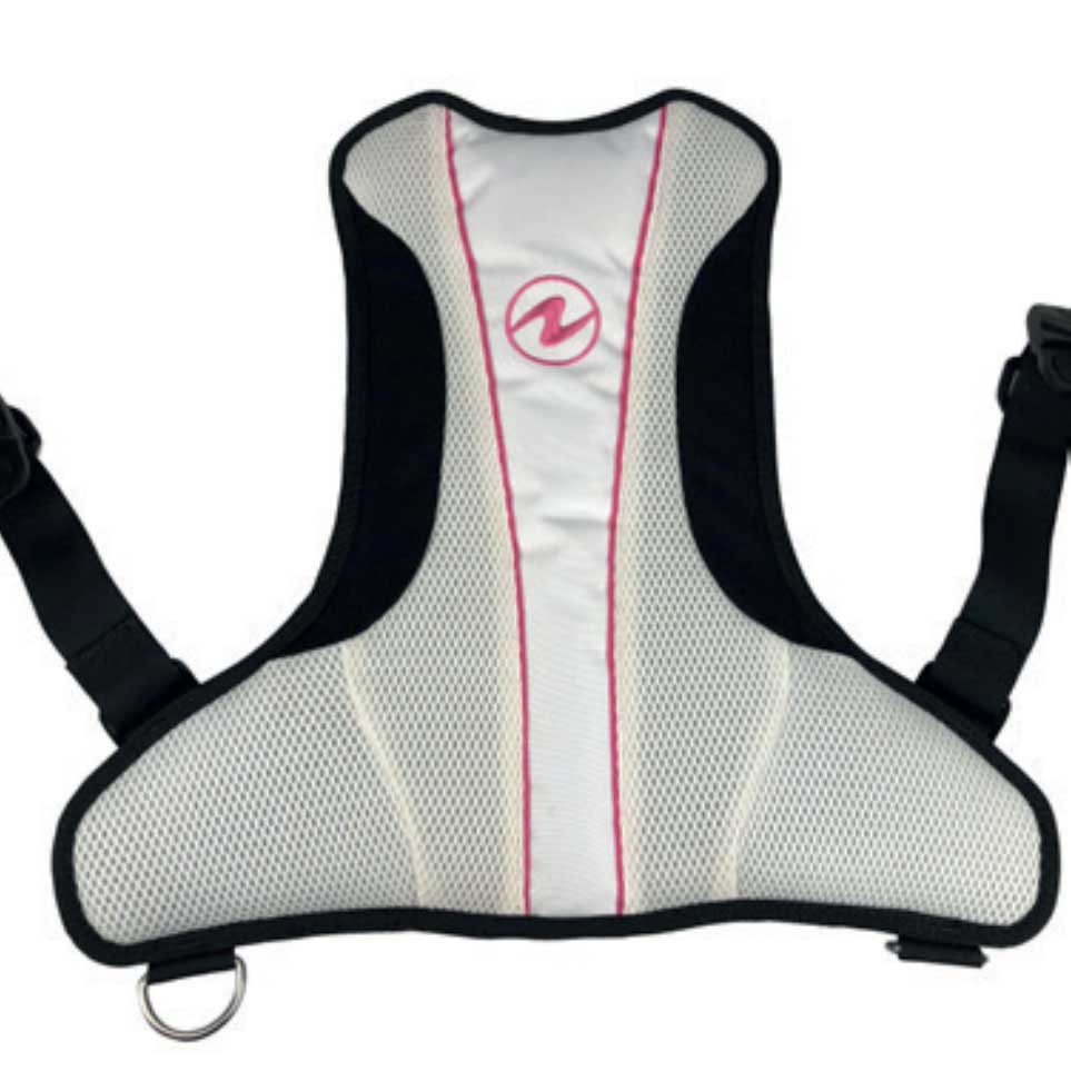 Aqualung Rogue Back Assembly Back Protector Grau M von Aqualung