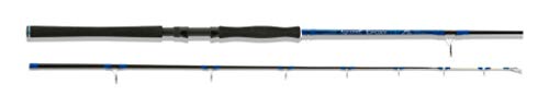 Aquantic Epoxy Tip Angelrute, Natur, 2 Längen, 2,10 m – 2,40 m, WG 80-240 g, 2,40 m – 80-240 g Aquantic Epoxy Tip Angelrute, Natur, 2 Längen, 2,10 m – 2,40 m, WG 80-240 g, 2,40 m – 80-240 g von Sensitec
