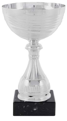 Art-Trophies At12375 Kommerzielle Sport-Trophäe, Silber, 17 cm von Art-Trophies