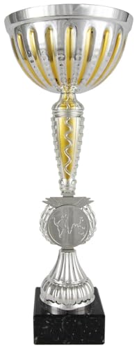 Art-Trophies At12593 Kommerzielle Sport-Trophäe, Silber/Gold, 32 cm von Art-Trophies