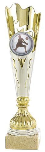 Art-Trophies TP104 Mini-Trophäe, sportlich, Silber/Gold, 30 cm von Art-Trophies