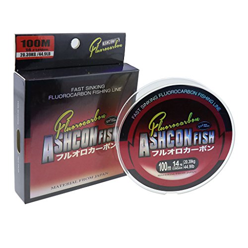 Ashconfish 100% Fluorocarbon Angelschnur Leader – 100 Meter, 35LB von Ashconfish