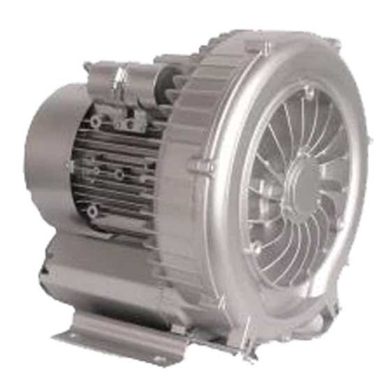 Astralpool 47185 1.5-1.75kw Turbo Blower Designed For Air Blowing In Spas Silber von Astralpool