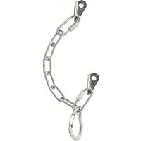 AustriAlpin Kettenstand mit Karabiner Inox 2 Bohrhaken von AustriAlpin