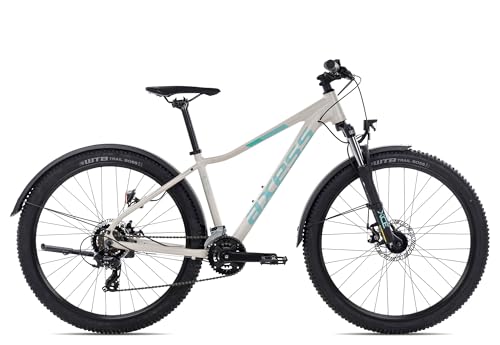 Axess MEEA ATB 27,5-29 Zoll Mountainbike Damen 14 Gänge MTB-Hardtail, Farbe:matt Silver, Rahmengröße:19 Zoll, Laufradgröße:29 Zoll von Axess