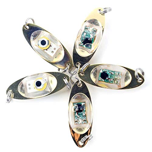 BAAQII 5 stücke LED Tiefer Tropfen Augen Form Fisch Squid Lure Light Flash Lampe BAAQII 5 stücke LED Tiefer Tropfen Augen Form Fisch Squid Lure Light Flash Lampe von BAAQII