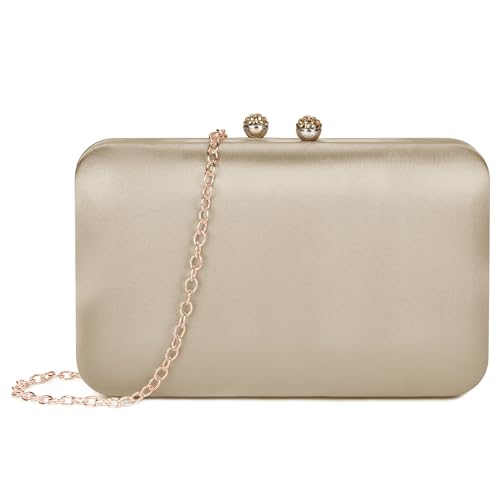 BAIGIO Elegante Damen Clutch Satin Abendtasche Vintage Handtasche Retro Brautasche Silk Smooth Umhängetasche Champagne BAIGIO Elegante Damen Clutch Satin Abendtasche Vintage Handtasche Retro Brautasche Silk Smooth Umhängetasche Champagne von BAIGIO