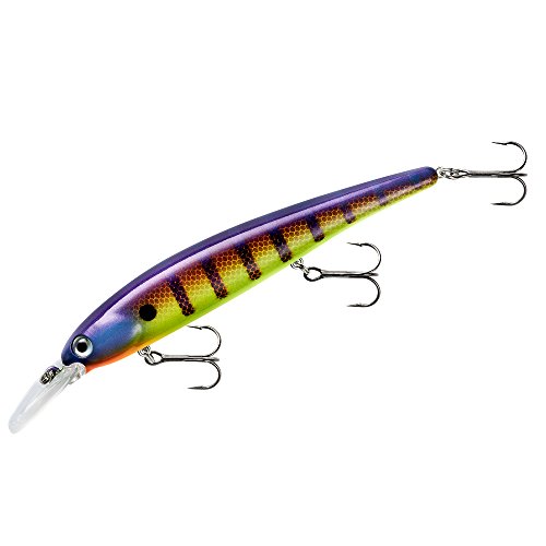 Bandit Lures Unisex-Erwachsene BDTWBS1D73 Walleye Shallow Minnow Jerkbait Angelköder, Viral Sitzstange, 4.5 Inch, 5/8 Ounce von BANDIT LURES