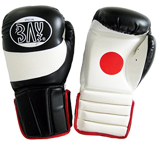 BAY Leder-PU Kombi Coach 2 in 1 Boxhandschuhe mit Innenhandpolster Pratzen Handpratzen Schlagpolster Schlagkissen Trainerpratzen Schlagpratzen Coachingpratzen Kickboxen Karate Muay Thai Thaiboxen MMA von BAY