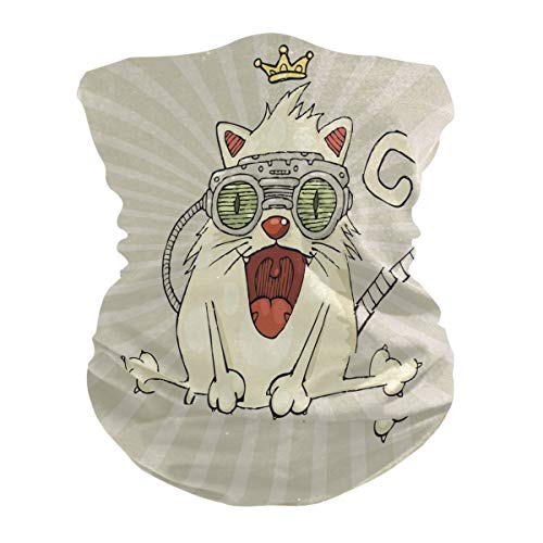 BEUSS Lustige Katze Kitty König Gesichtsmaske Schlauchtuch Kopftuch Stirnband Bandanas Kopfbedeckung Halstuch Gesichtsschal Den Sport mit Tasche BEUSS Lustige Katze Kitty König Gesichtsmaske Schlauchtuch Kopftuch Stirnband Bandanas Kopfbedeckung Halstuch Gesichtsschal Den Sport mit Tasche von BEUSS
