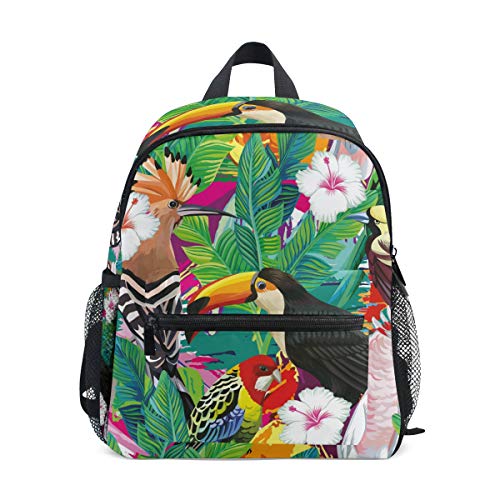 Tropischer Vogel Tukan Papagei Kleinkind Rucksack Kinder Leichtgewicht Büchertasche Vorschule Schülerrucksack für 1-6 Jahre die Reise Mädchen Jungs Tropischer Vogel Tukan Papagei Kleinkind Rucksack Kinder Leichtgewicht Büchertasche Vorschule Schülerrucksack für 1-6 Jahre die Reise Mädchen Jungs von BEUSS