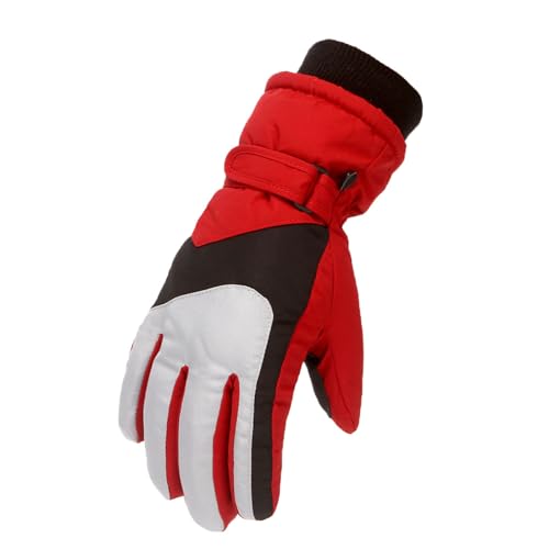 BLAFT Herbst und Winter Damen Skifahren warme volle Finger Handschuhe Fahrrad Comfortable Fleece weich atmungsaktiv glatt Winddicht kalt wasserdicht Touchscreen-fünf Finger rennrad (Rot, L) von BLAFT