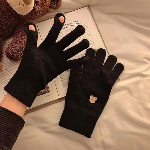 BLAFT Herbst und Winter Männer und Frauen warm wasserdichte Handschuhe Warm und bequem atmungsaktiv mit Crash-Pads verschleißfest Winddicht kalt rutschfest volle Finger (Schwarz, 23 * 15cm) von BLAFT