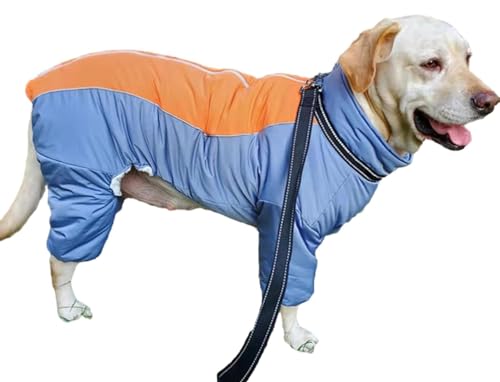 Hund Wintermäntel, wasserdichte Hundejacke Für Winter, Zip Up Fleece Hundeweste, Winddichte Warme Ganzkörpermantel Für Kleine Hunde, Welpen Winterkleidung Hundebekleidung B,16 von BLUEZY